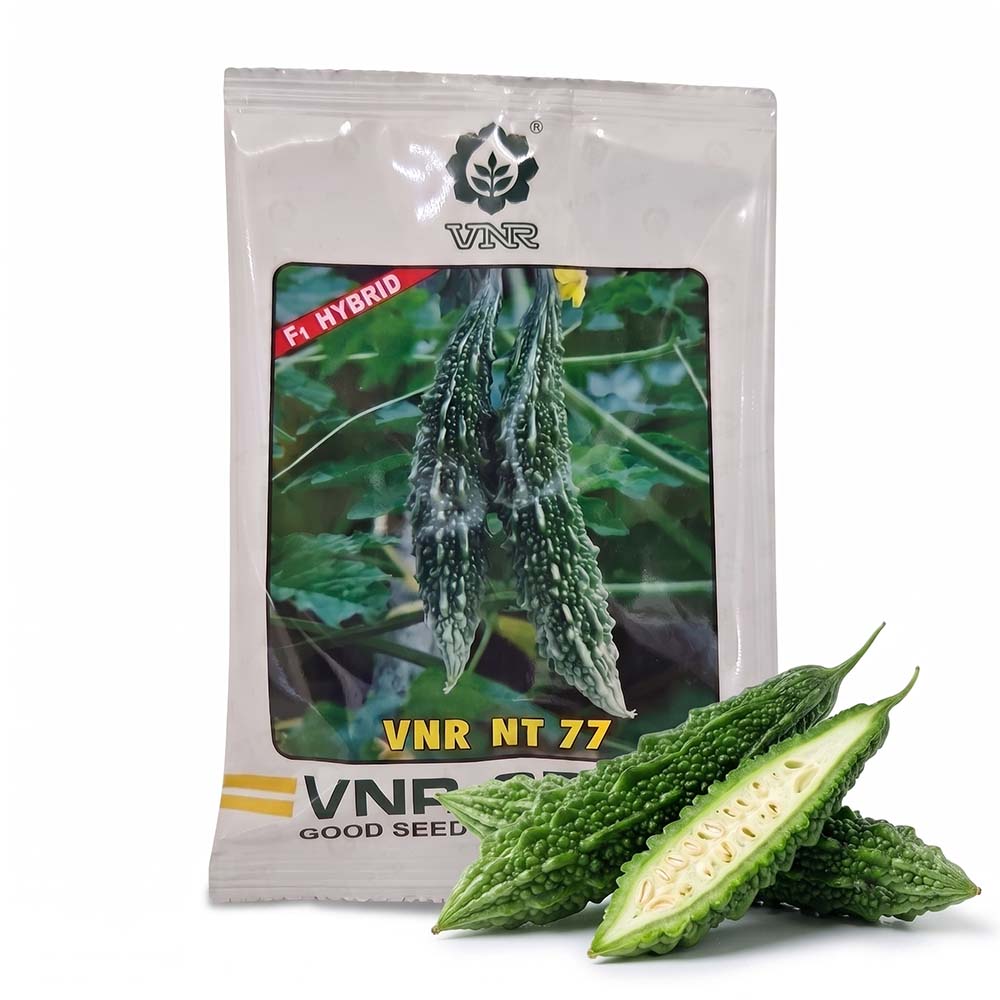 Bittergourd Vnr Nt 77
