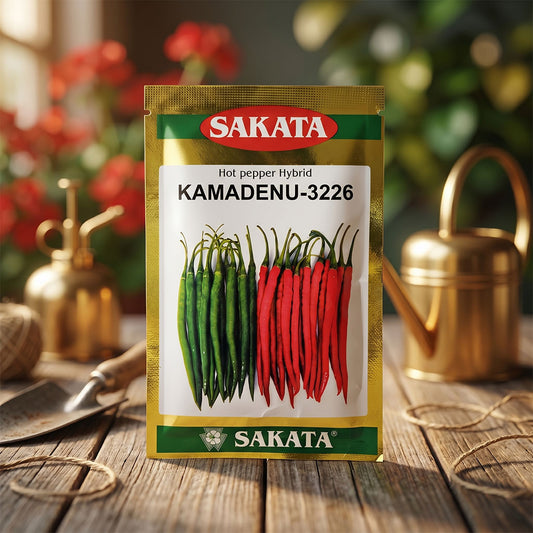 Chilli Sakata Kamadenu Seeds for High Yield Farming | Dhartibeej