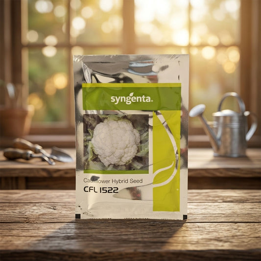 Cauliflower Syn 1522 Seeds Online | Dhartibeej