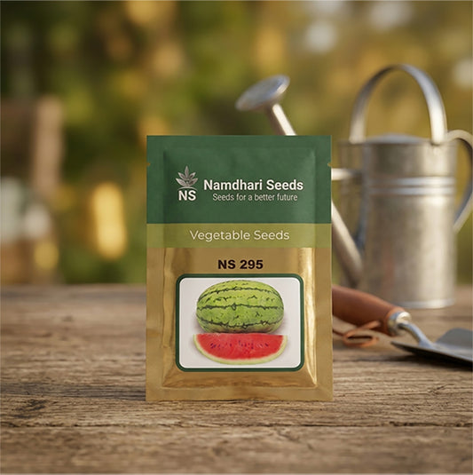 Watermelon NS-295 Seeds Online | Dhartibeej