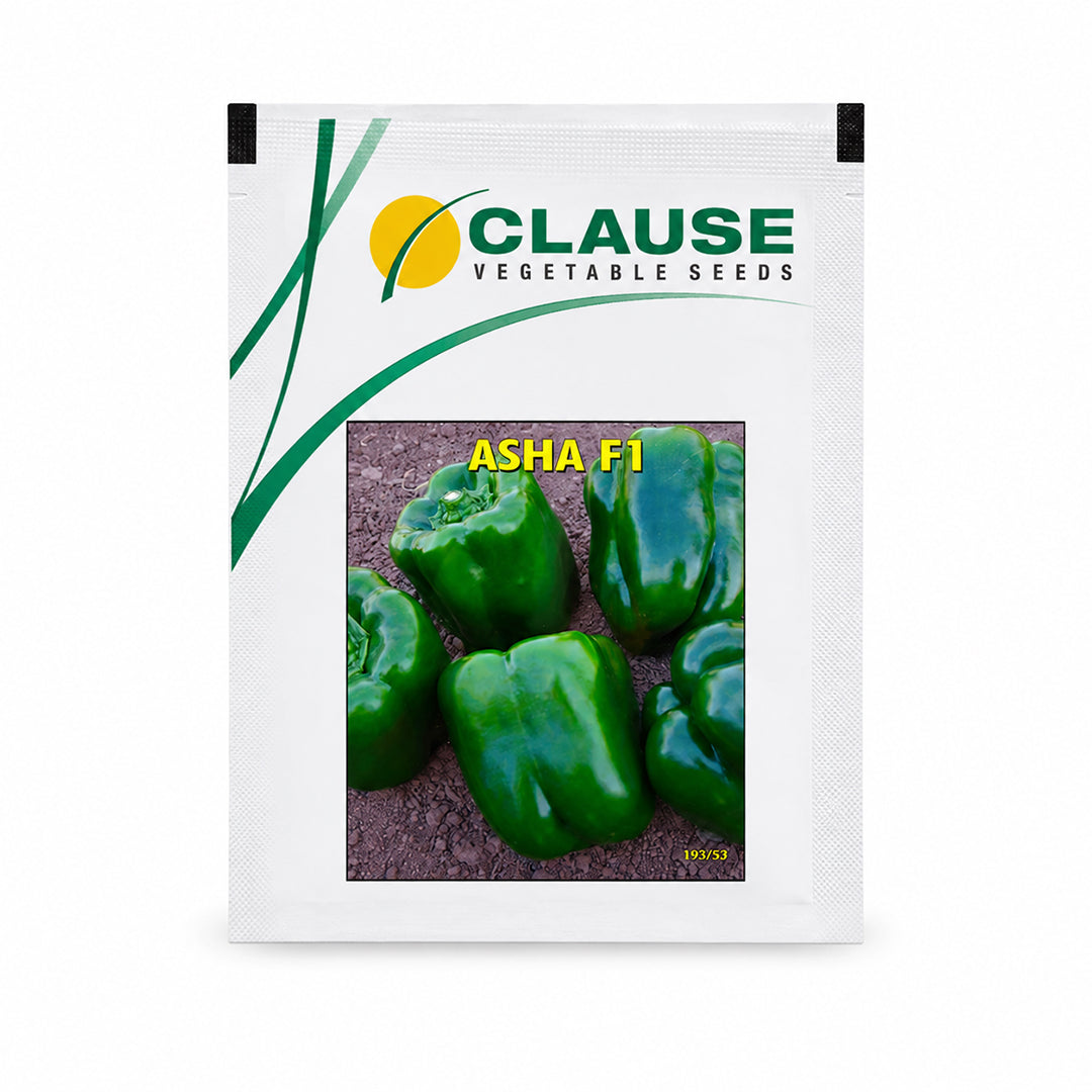 Capsicum Clause Asha