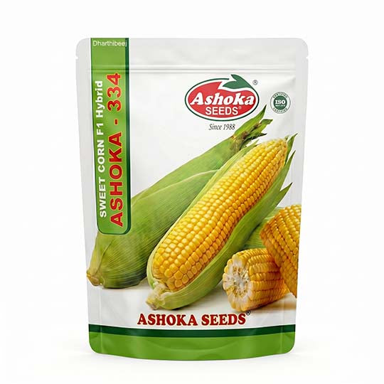 Sweetcorn Ashoka 334