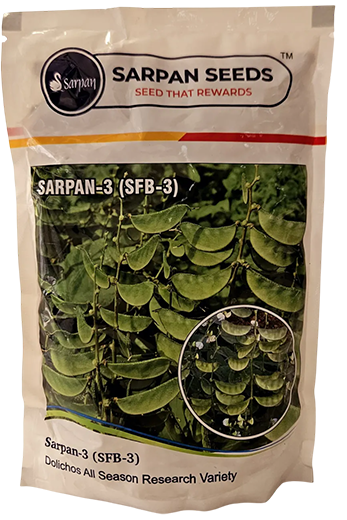 Beans Sarpan SFB 3 Seeds for High Yield Farming – Dhartibeej