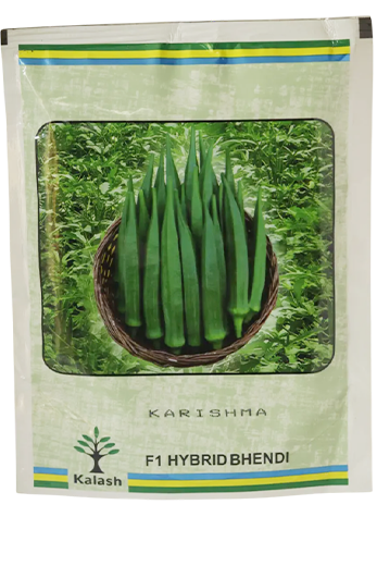 Bhendi Kalash Karishma Seeds for High Yield Farming - Dhartibeej