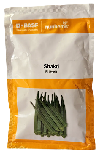 Bhendi Nunhems Shakti Seeds Online India – Dhartibeej