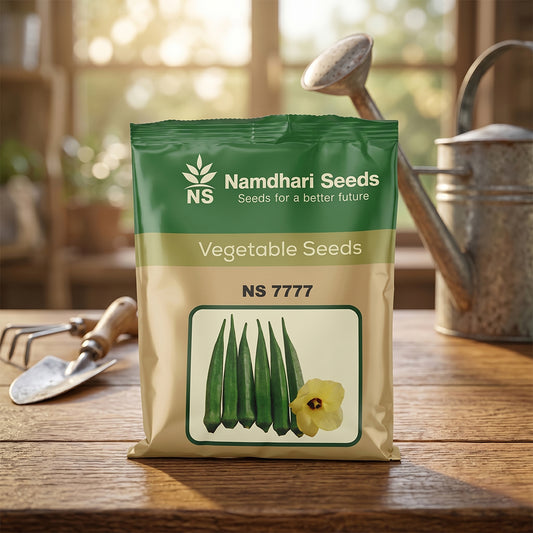 Bhendi Ns-7777 Seeds Online | Dhartibeej