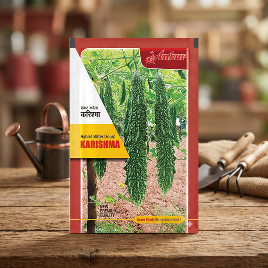 Bitter Gourd Ankur Karishma Seeds Online | Dhartibeej