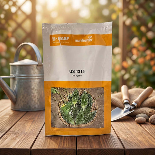 Bitter Gourd Nunhems Us1315 Seeds Online | Dhartibeej