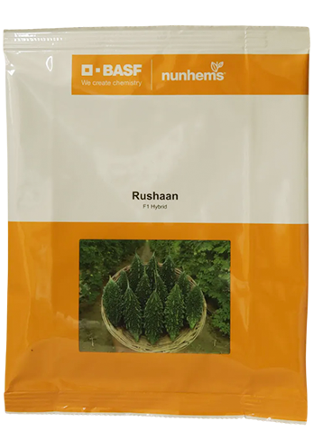 Buy Bitter Gourd Nunhems Rushaan Seeds Online in India – Dhartibeej