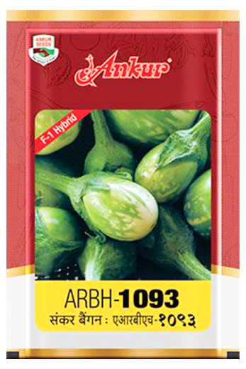 Buy Brinjal Ankur Arbh 1093 Seeds Online in India – Dhartibeej