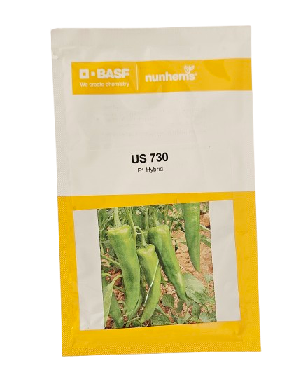 Buy Chilli Nunhems Us 730 Seeds Online in India – Dhartibeej