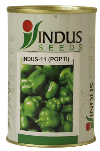 Capsicum Indus-11 (Popti) Seeds Online India – Dhartibeej