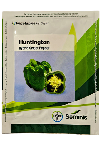 Buy Capsicum Monsanto Huntington Seeds Online in India – Dhartibeej