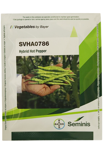 Chilli Svha0786 Seeds for High Yield Farming – Dhartibeej