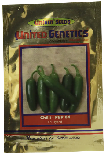 Buy Chilli United Pep-04 Seeds Online in India – Dhartibeej