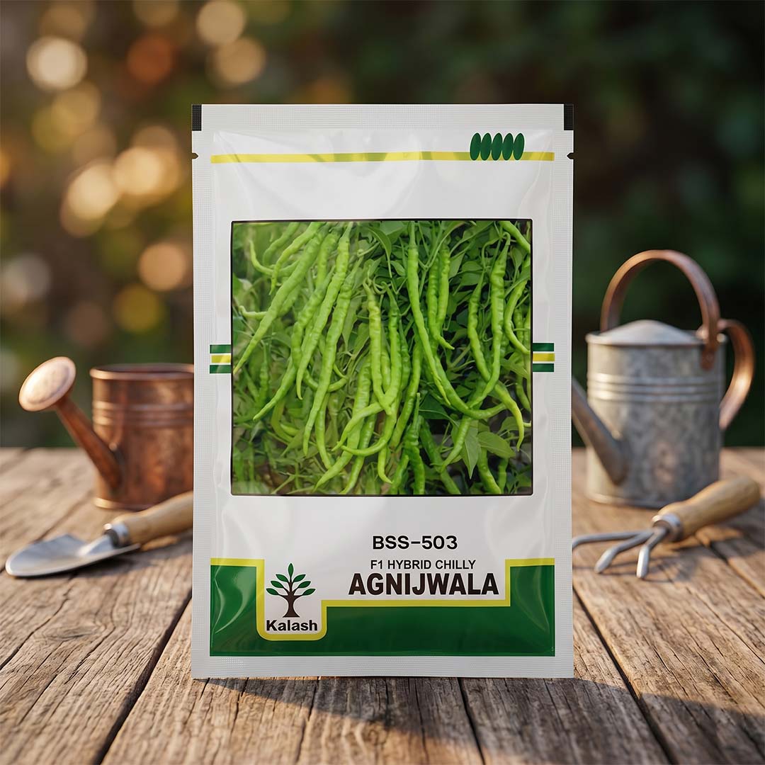 Chilli Kalash Agni Jwala Seeds Online | Dhartibeej