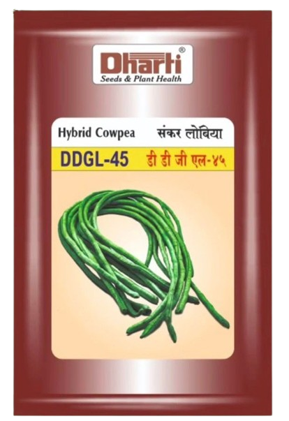 Cowpea Dharti DDGL-45 Seeds Online in India | Dhartibeej