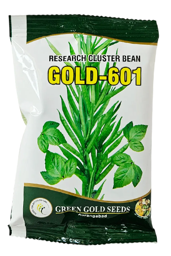 Buy Gaur Green Gold 601 Seeds Online in India – Dhartibeej