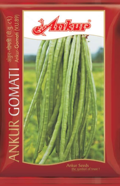 Buy Lobia Gomati Ankur Seeds Online in India – Dhartibeej