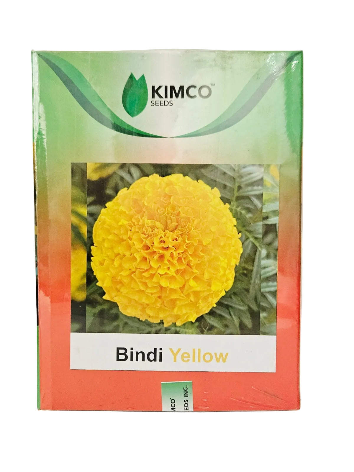 Marigold Kimco Bindi Yellow
