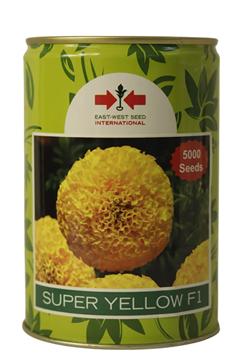 Marigold East West Super Yellow Flower Seeds Online India – Dhartibeej