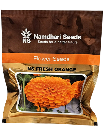 Marigold Ns Fresh Orange Flower Seeds Online India – Dhartibeej