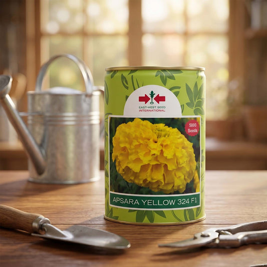 Marigold East West Apsara Yellow Flower Seeds Online | Dhartibeej