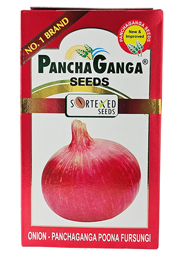 Onion Panchganga Poona Fursungi Seeds for High Yield Farming – Dhartibeej