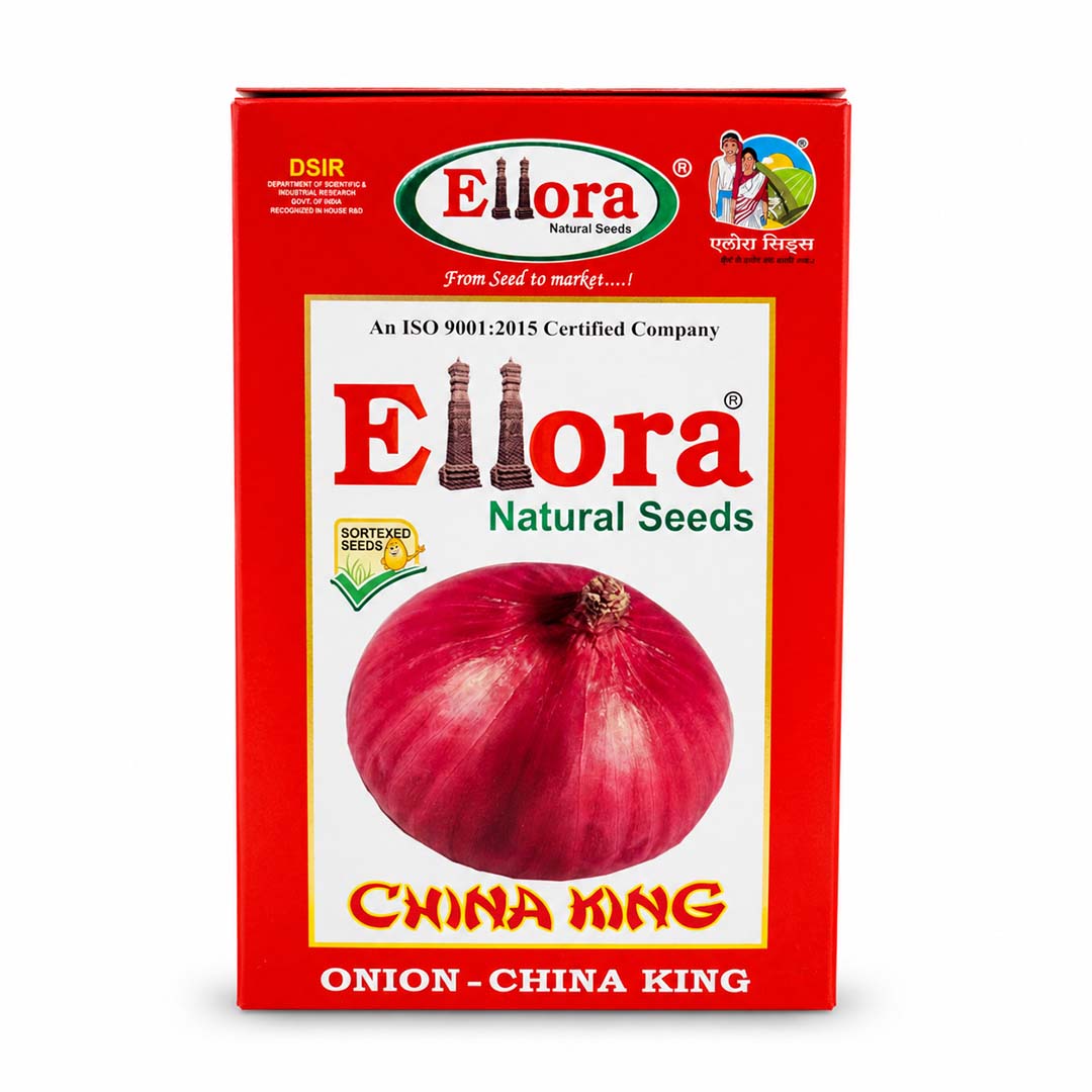 Onion Ellora China King