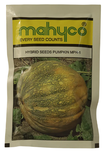Buy Pumpkin Mahyco Mph-1 Seeds Online in India – Dhartibeej