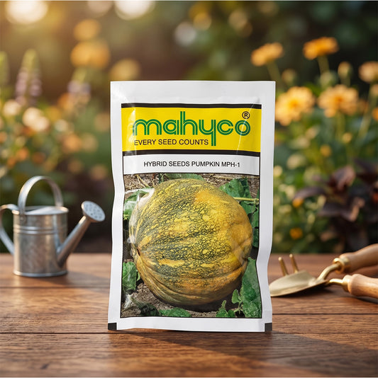Pumpkin Mahyco Mph-1 Seeds Online | Dhartibeej