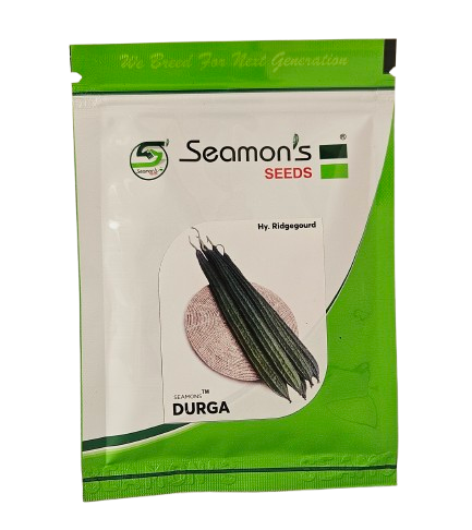 Buy Ridgegourd Seamons Durga Seeds Online in India – Dhartibeej