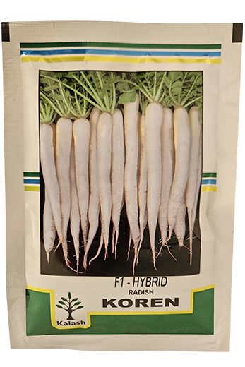 Radish Kalash Koren Seeds Online India – Dhartibeej