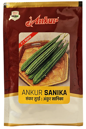 Buy Ridgegourd Ankur Sanika Seeds Online in India – Dhartibeej