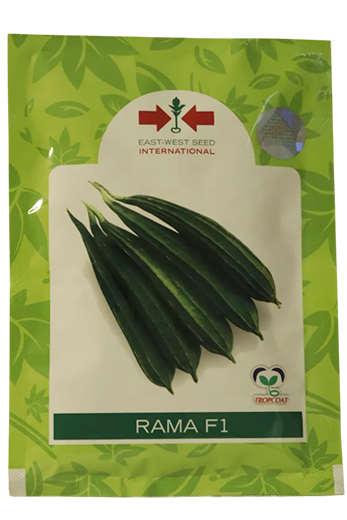 Ridgegourd East West Rama F1 Seeds Online India – Dhartibeej