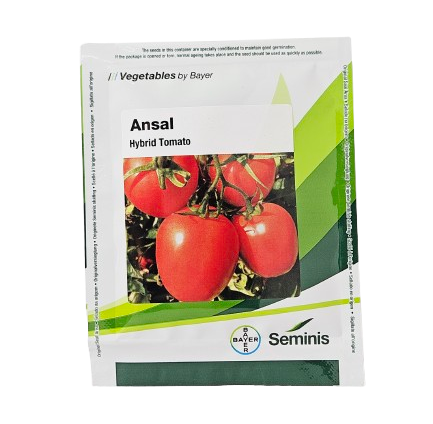 Seminis Ansal Tomato Seed Online India – Dhartibeej