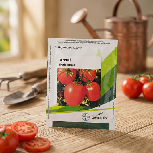 Seminis Ansal Tomato Seed Online | Dhartibeej