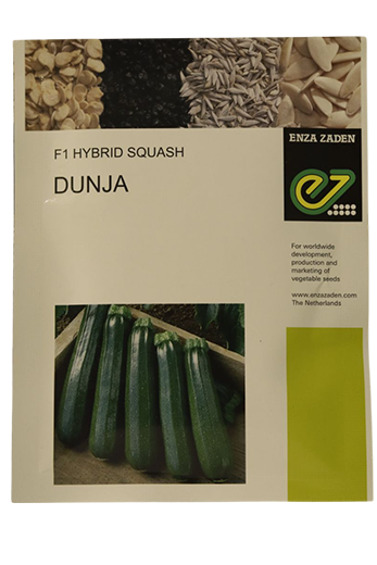 Squash Enza Dunja Seeds for High Yield Farming – Dhartibeej