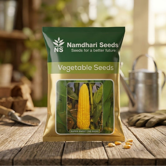 Sweetcorn Ns Super Sweet (Ns8609) Seeds for High Yield Farming | Dhartibeej