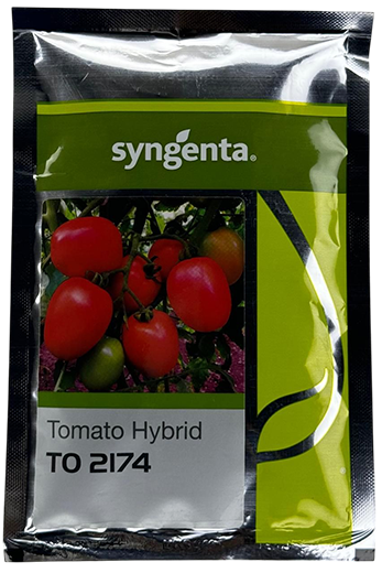 Tomato Syn To-2174 Seeds for High Yield Farming – Dhartibeej