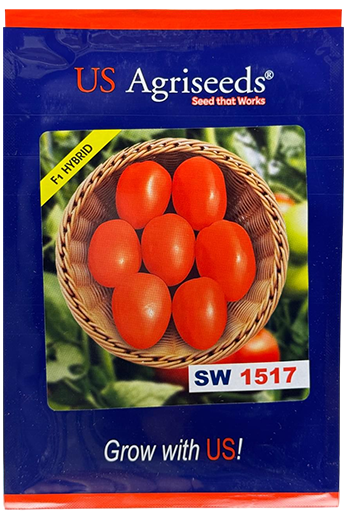 Tomato Us Agri Sw 1517 Seeds Online India – Dhartibeej