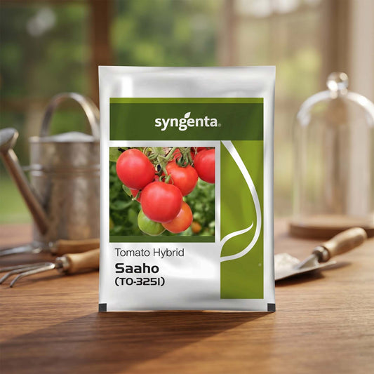 Tomato Syn Saaho Seeds Online | Dhartibeej