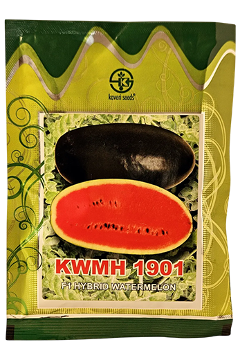 Watermelon Kaveri Kwmh 1901 Seeds for High Yield Farming – Dhartibeej