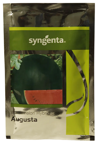 Buy Watermelon Syn Augusta Seeds Online in India – Dhartibeej