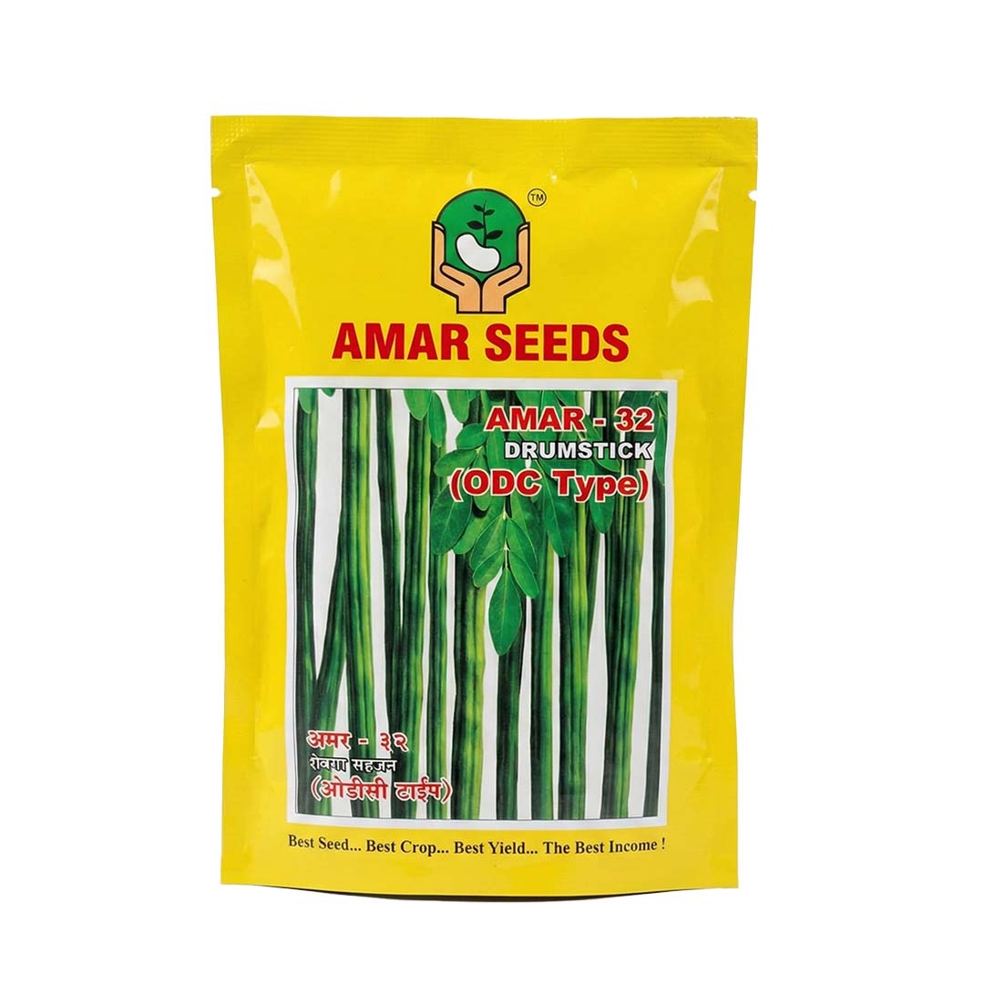 Drumstick Amar 32 Odc Type Seeds Online | Dhartibeej