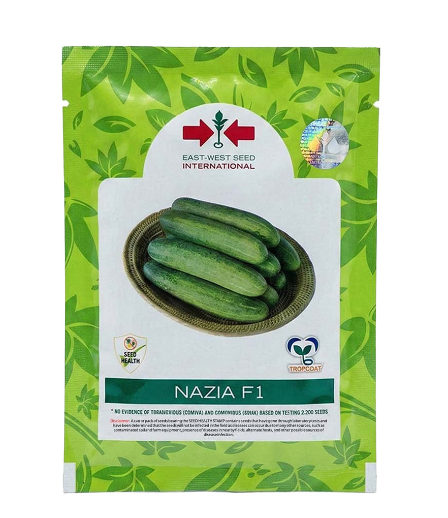 Cucumber East West Nazia F1 Seeds for High Yield Farming | Dhartibeej