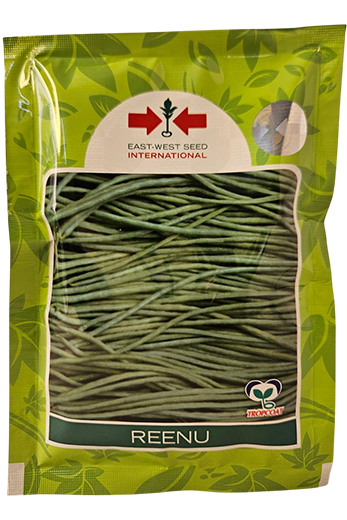 Yard Long Beans East West Reenu Seeds Online India – Dhartibeej