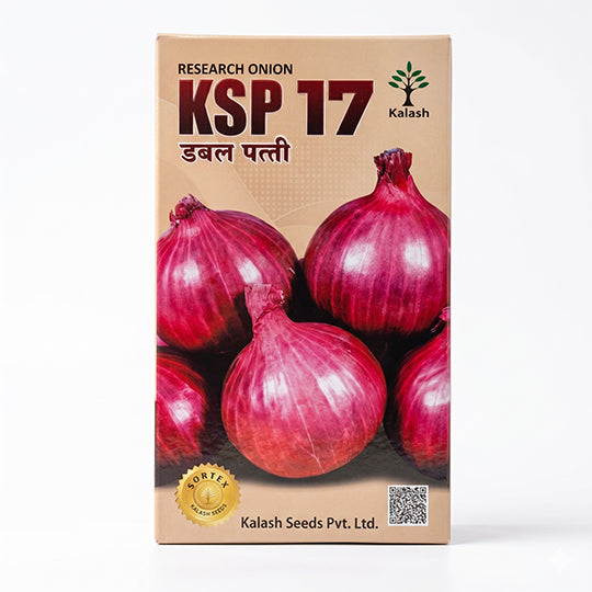 Onion Kalash KSP 17