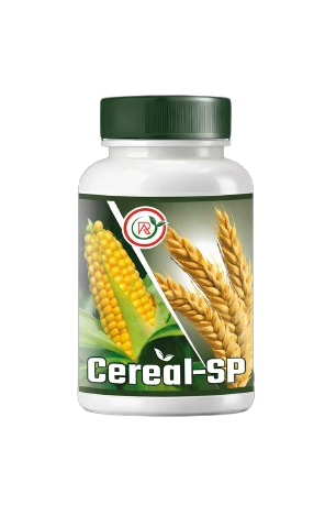 Buy Cereal SP Fertilizer Online in India – Dhartibeej
