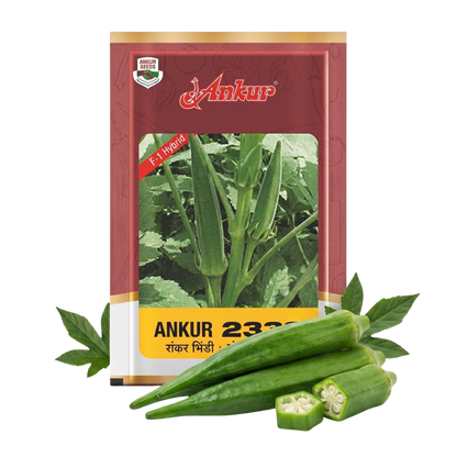 Bhendi Ankur 2338 Seeds for High Yield Farming | Dhartibeej